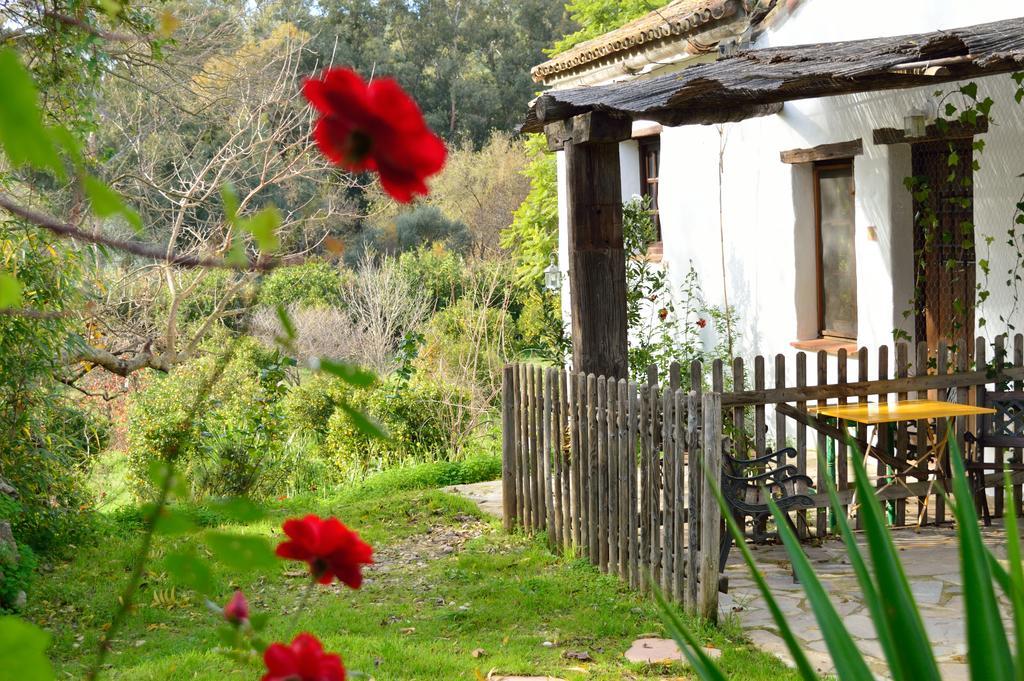 Casa Rural Ahoraya Эль-Кольменар Экстерьер фото