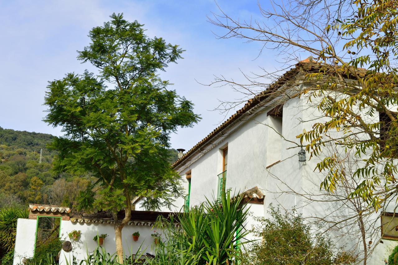 Casa Rural Ahoraya Эль-Кольменар Экстерьер фото